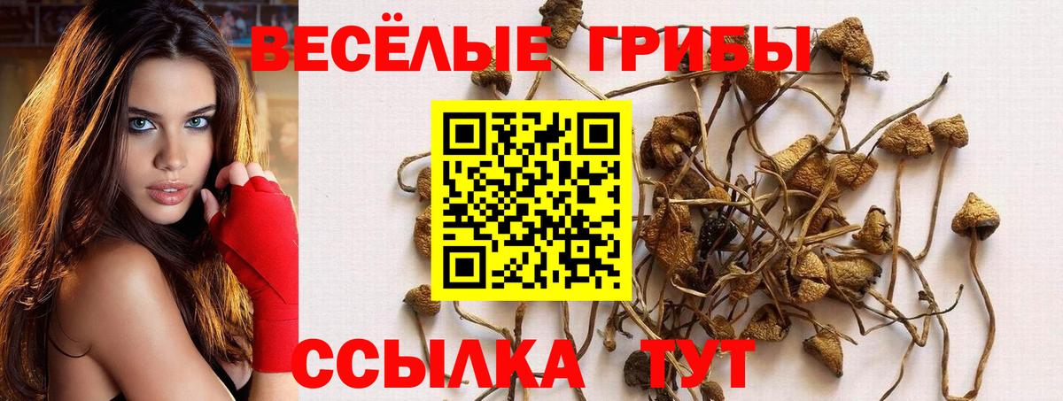 Псилоцибиновые грибы мицелий Михайловка
